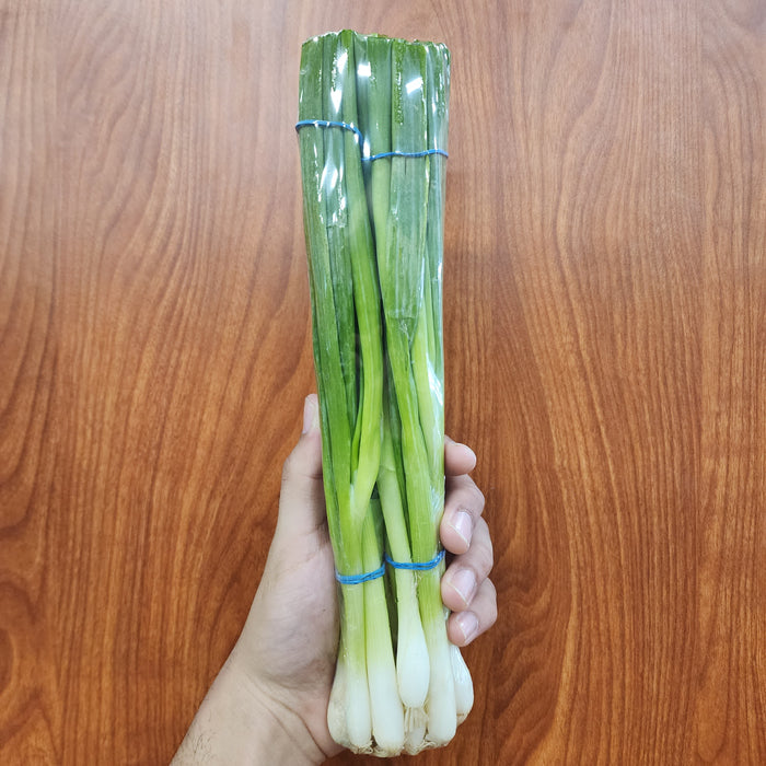 Vegetable Green Onion - OMO Iceless, na