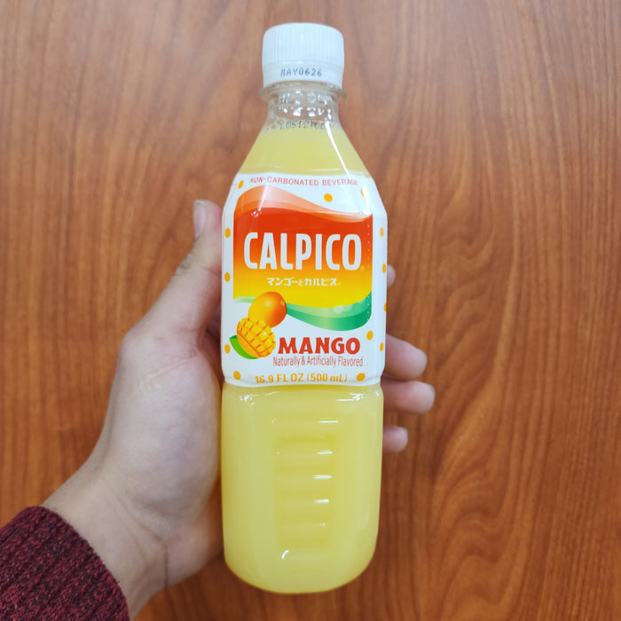 Calpico Water Mango, 16.9